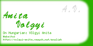anita volgyi business card